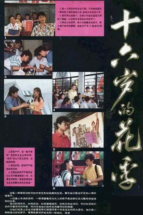 十六岁的花季 (1990)