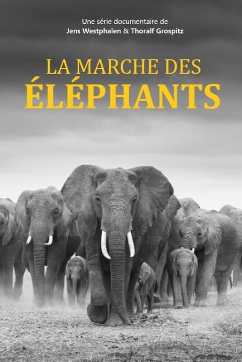 Poster Elefanten hautnah