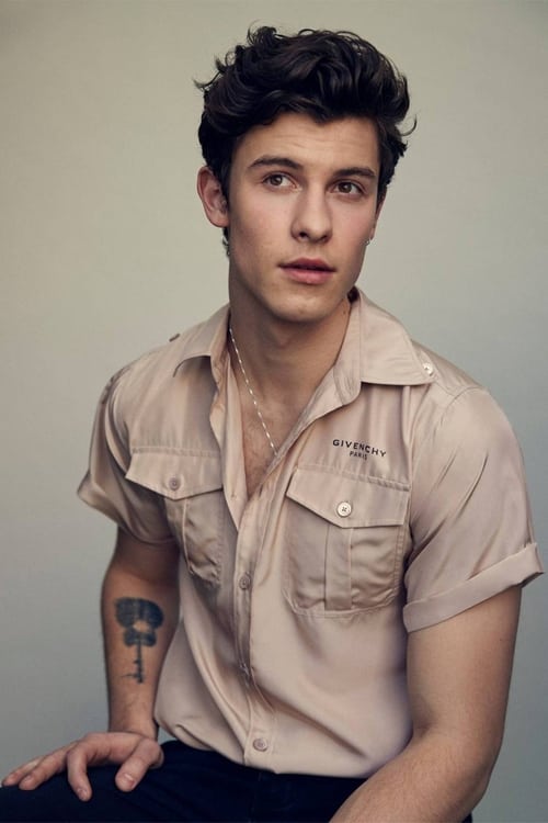 Grootschalige poster van Shawn Mendes