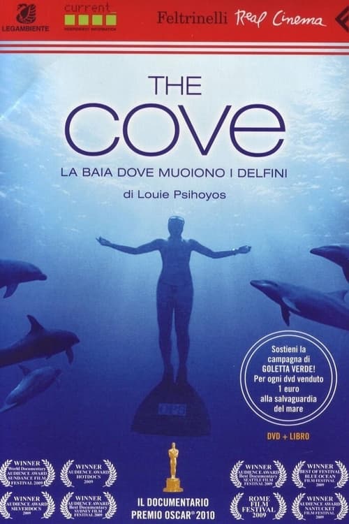 The Cove