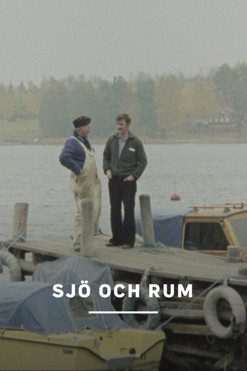 Sjö i rum poster