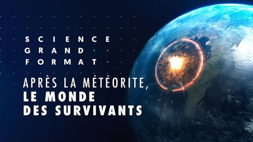 Image Après la météorite, le monde des survivants
