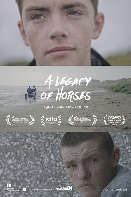 Poster A Legacy of Horses 2020