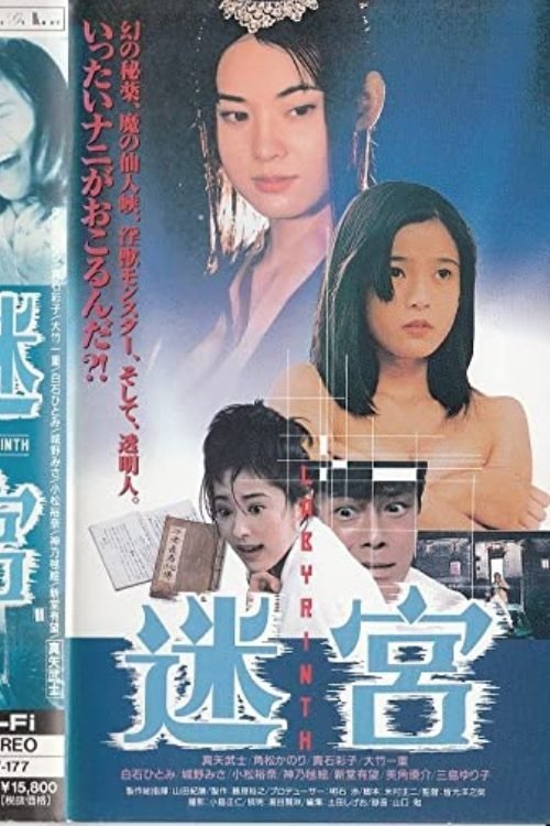 迷宮 (1996)