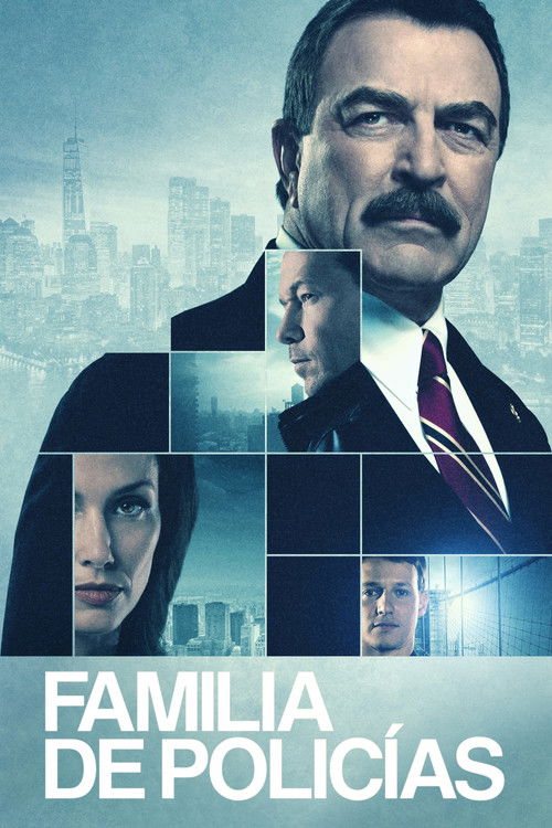 Póster de la temporada 11 de la serie Familia de policías