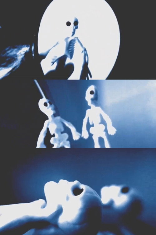 skeletons