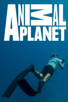 Noronha's Spinners poster