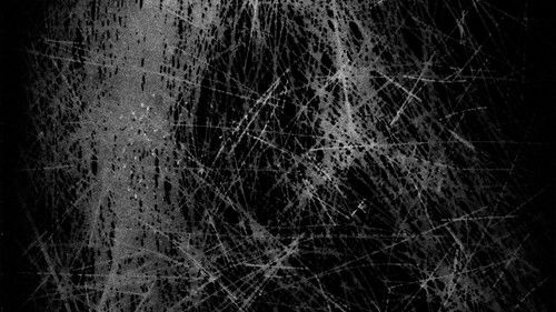 backdrop A Hair Short