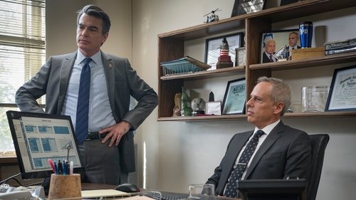 Lei & Ordem: Unidade de Vítimas Especiais: 17×4