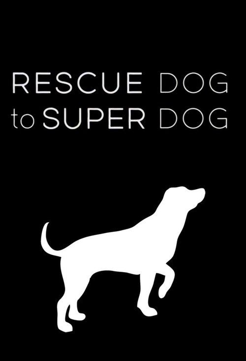 Movie poster of Rescue Dog to Super Dog