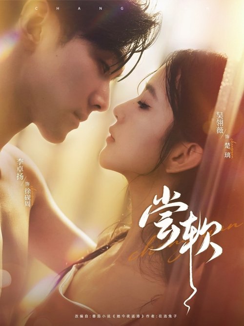 尝软 poster