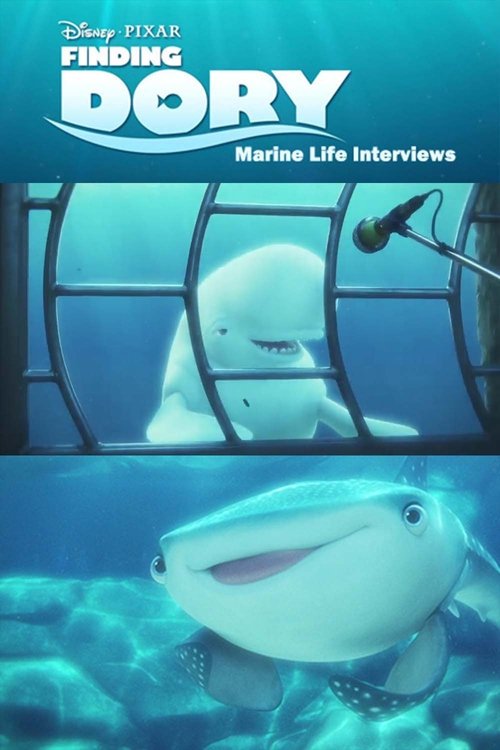 Marine Life Interviews (2017) poster