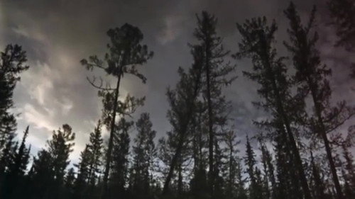 Those Who Walk Into the Flames