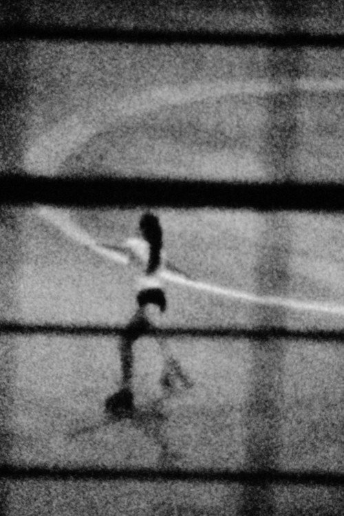 Grid Room (Featuring De Dierenmarsch by George Debels)