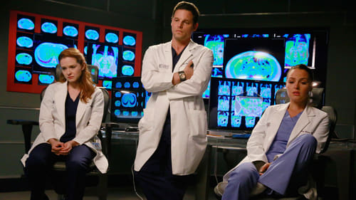 Grey's Anatomy - Season 11 - Episode 20: One Flight Down