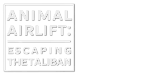 Animal Airlift: Escaping the Taliban