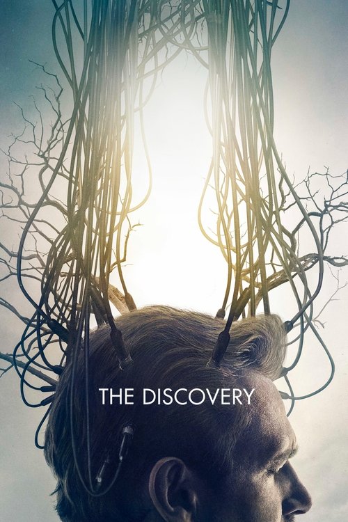 Largescale poster for The Discovery