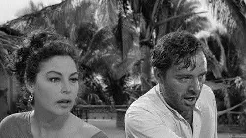 The Night of the Iguana