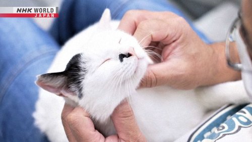 Image de l'épisode 4