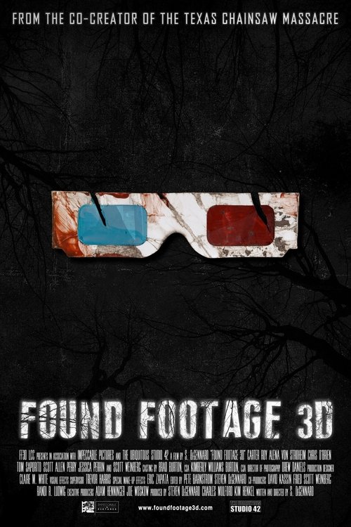 Found Footage 3D poster