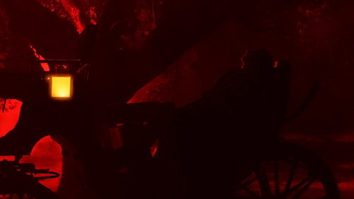 Bulbbul — still 23