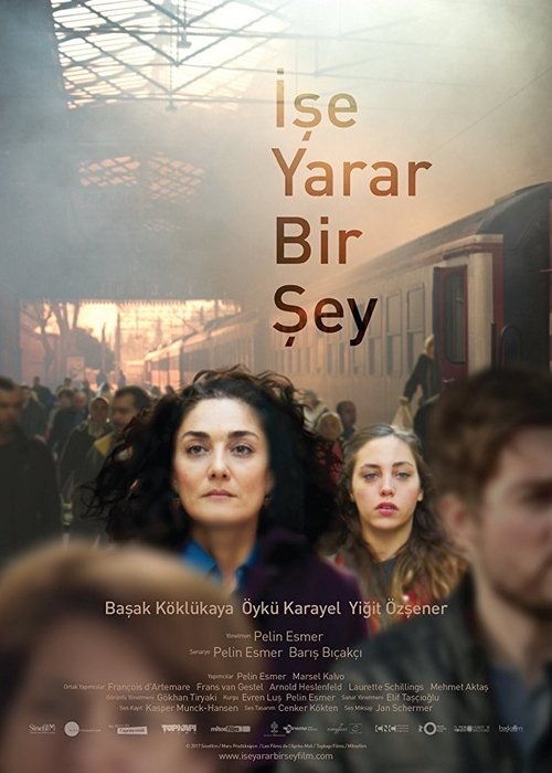 İşe Yarar Bir Şey ( İşe Yarar Bir Şey )