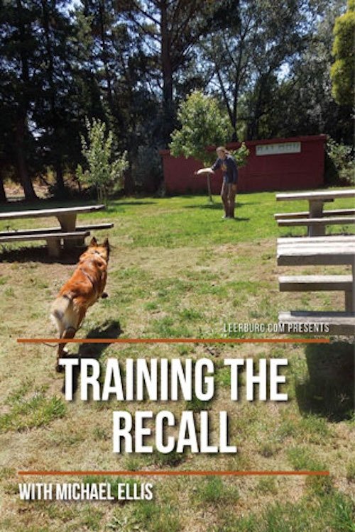 Training the Recall movie poster player