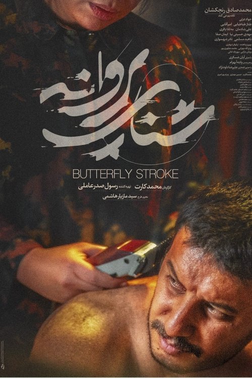 Butterfly Swimming movie poster player