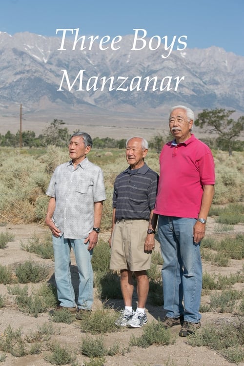 Three Boys Manzanar 2017