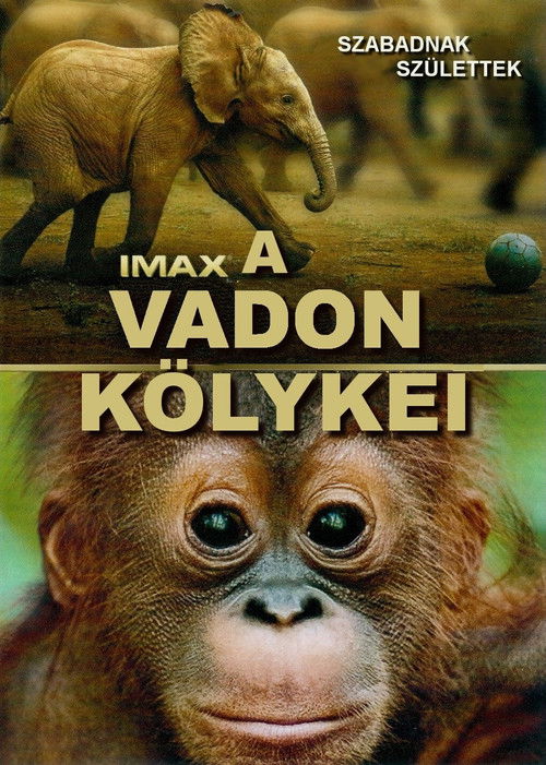 Born to Be Wild poster