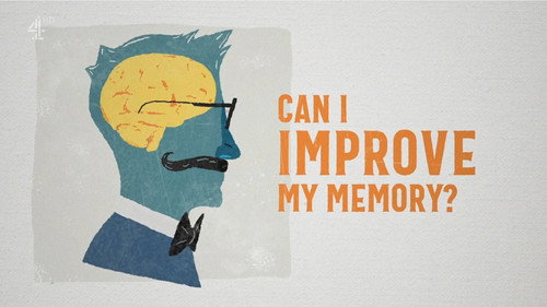 Can I Improve My Memory? - Season 1 Backdrop Blur