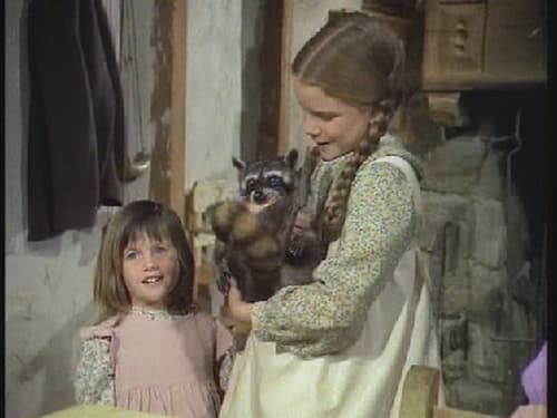 Poster della serie Little House on the Prairie