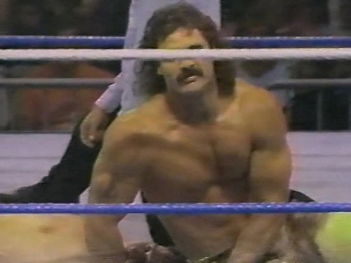October 15, 1988 - Superstars of Wrestling 111