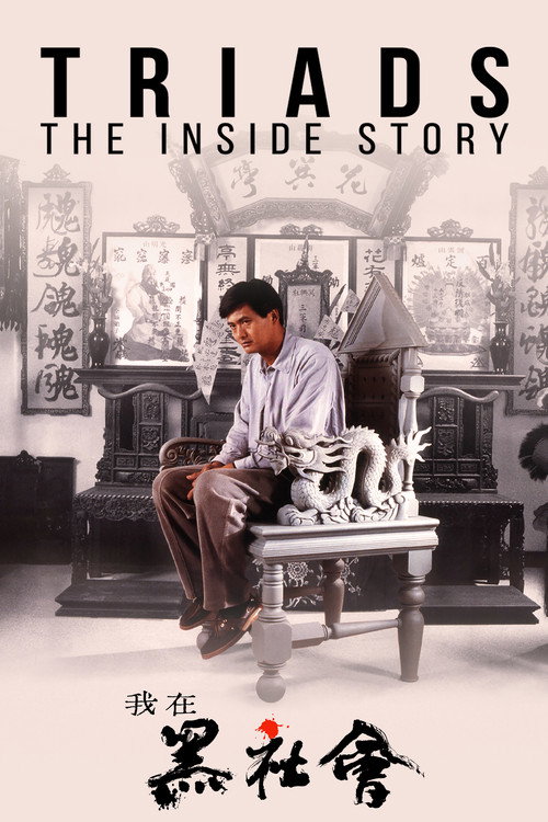 Triads: The Inside Story poster