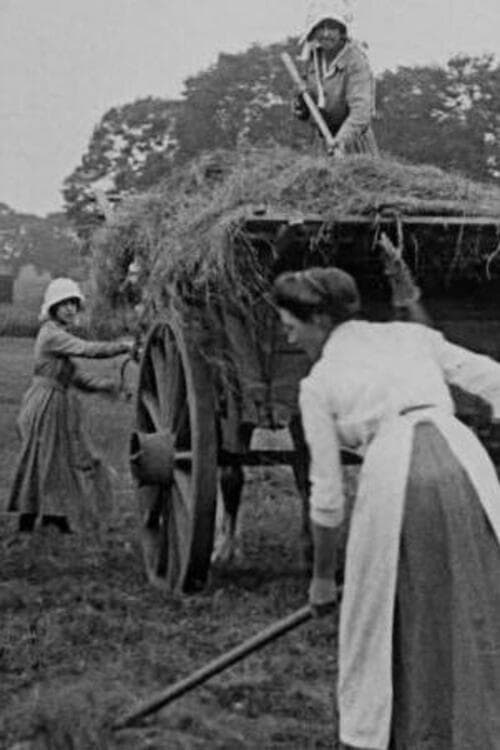 Women Hay Makers (1916)