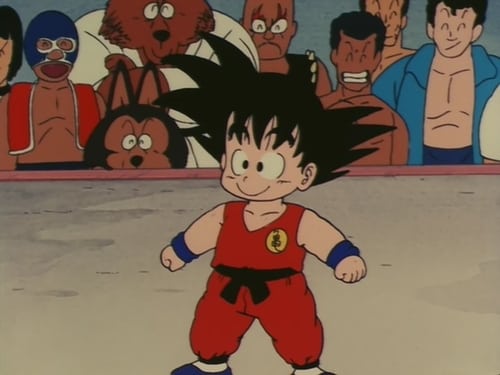 Dragon Ball: 1×20