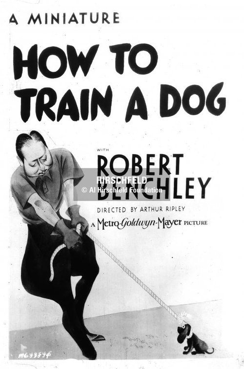 How to Train a Dog movie poster player