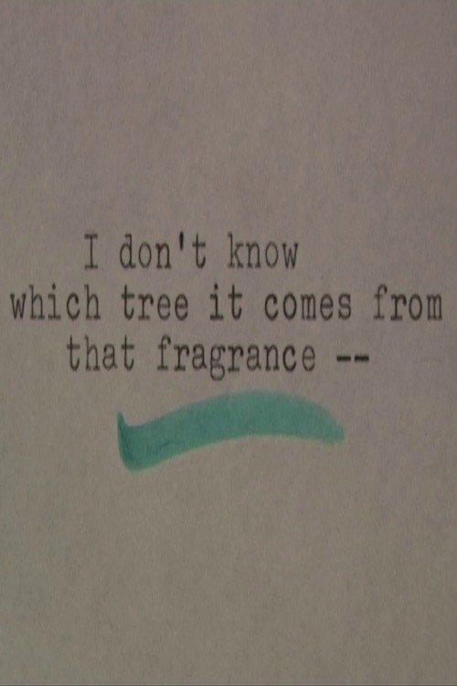 I Don't Know Which Tree It Comes From that Fragrance