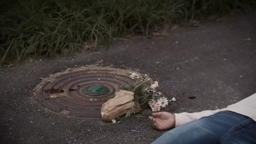 The Man Who Loved Flowers