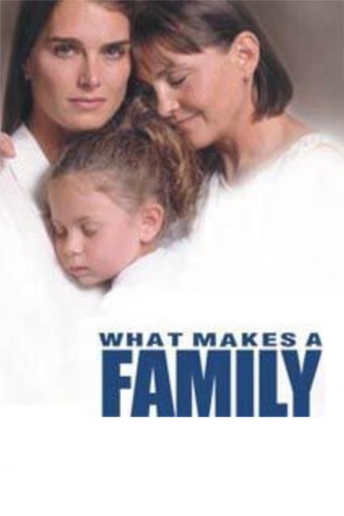 What Makes a Family poster