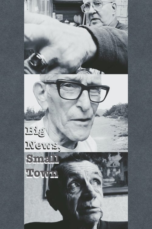 Big News, Small Town (2003) poster