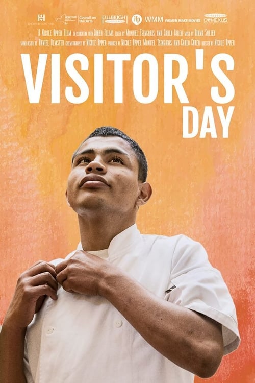 Visitor's Day (2017)