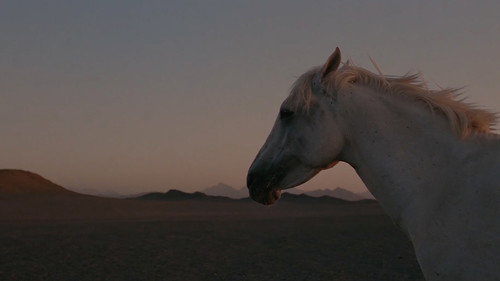 The Desert of the Tartars
