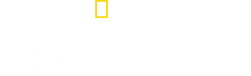 Rencontre avec les Chimpanzés