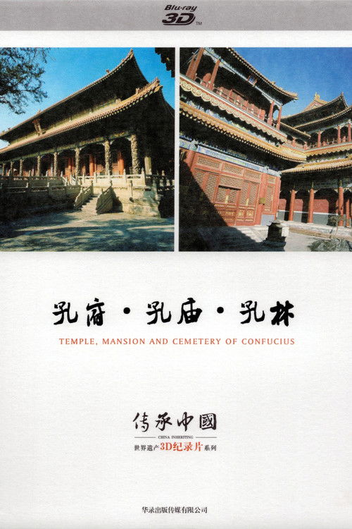 传承·中国世界遗产3D纪录片之孔府、孔庙、孔林