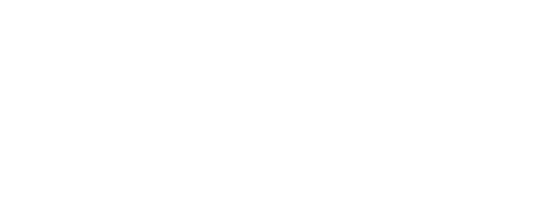 The Favor