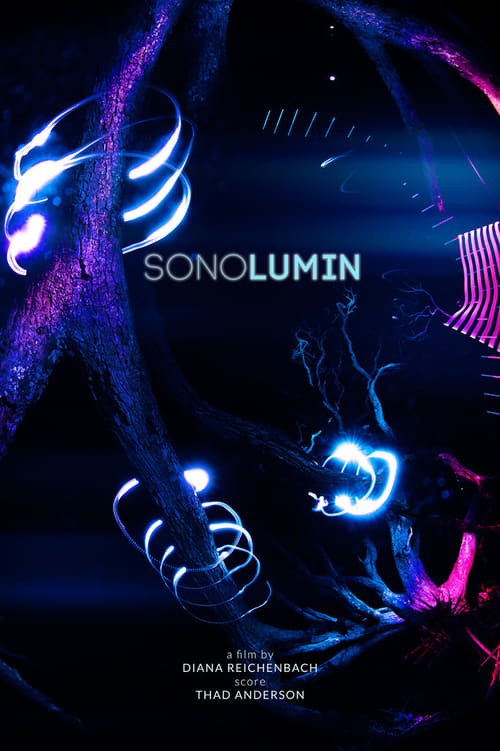 SONOLUMIN (2018) poster