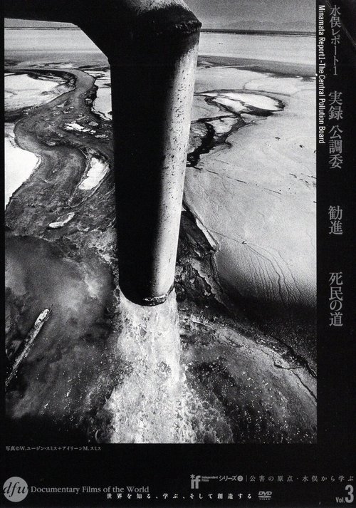 水俣レポート1 実録公調委
