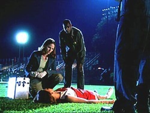 CSI: Crime Scene Investigation: 3×3