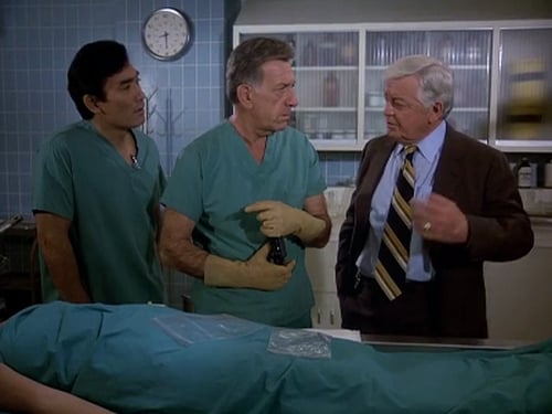 Poster della serie Quincy, M.E.